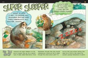 Super Sleeper Wayside Glacier National Park Exhibit